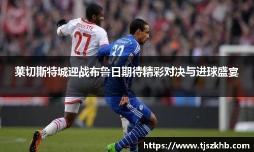 球速体育平台