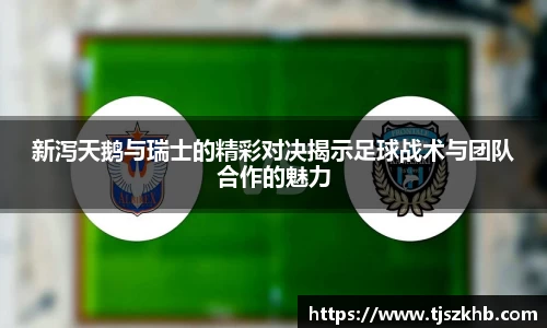 球速体育APP