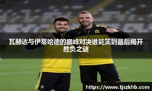 球速体育