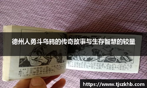 球速体育