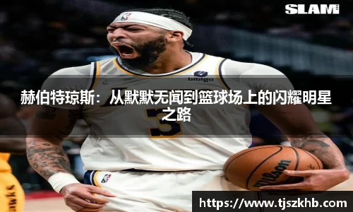 球速体育APP