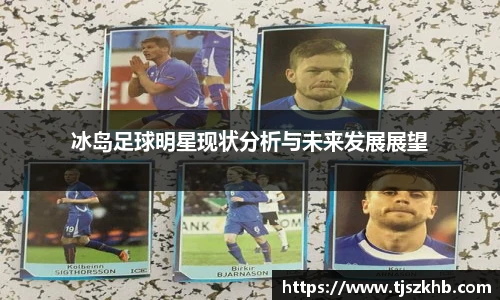 冰岛足球明星现状分析与未来发展展望
